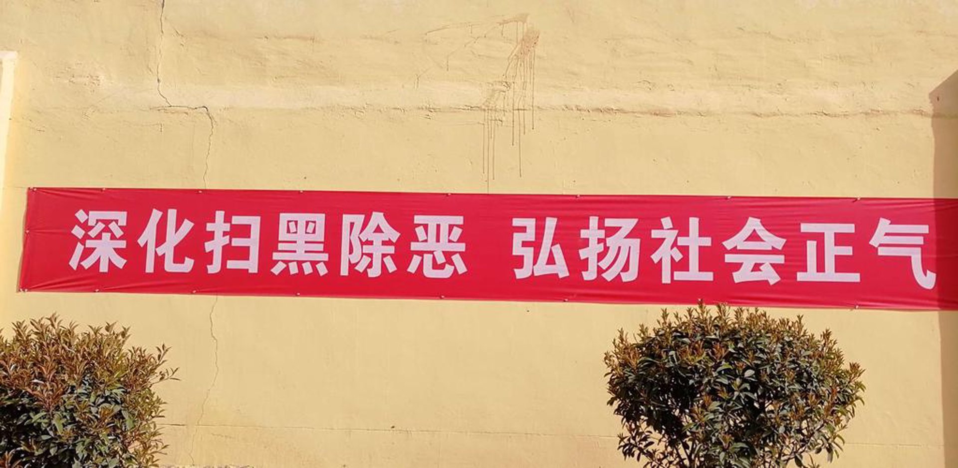 肖生克教育科技
